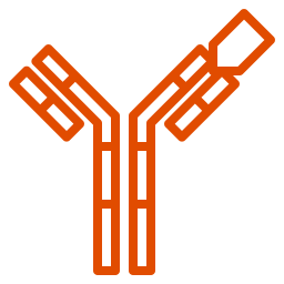 icono-naranja-anticuerpo-receptor