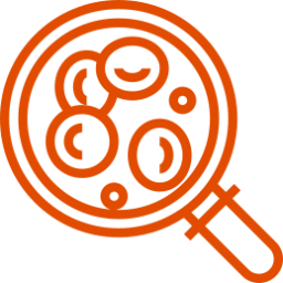 icono-naranja-celulas-sangre
