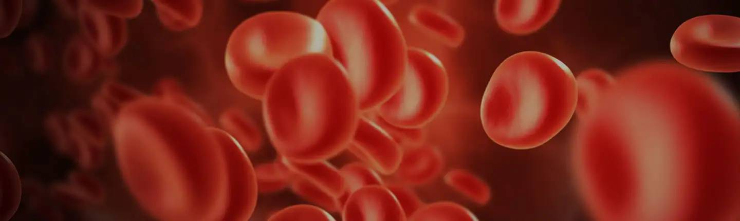 banner-celulas-sangre-3d