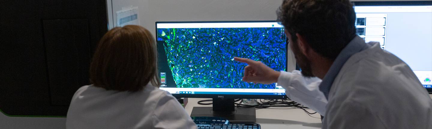 banner-investigacion-imagen-cancer