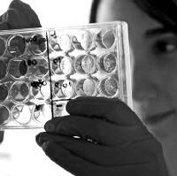 img-destacado-investigacion-cancer-gris