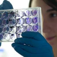 img-destacado-investigacion-cancer