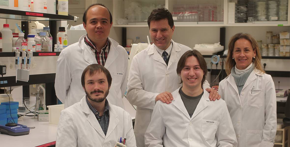 La administración local de anti-CD137 induce el rechazo de tumores sin producir inflamación en el hígado Según un estudio del Laboratorio de Inmunología y Terapia Génica del CIMA publicado en Cancer Discovery