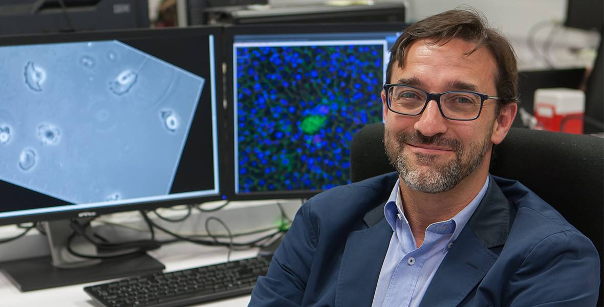 Dr. Carlos Ortiz de Solórzano Dr. Carlos Ortiz de Solórzano, director de Laboratorio de Imagen del Cáncer y de la Unidad de Morfología e Imagen del Centro de Investigación Médica Aplicada (CIMA)