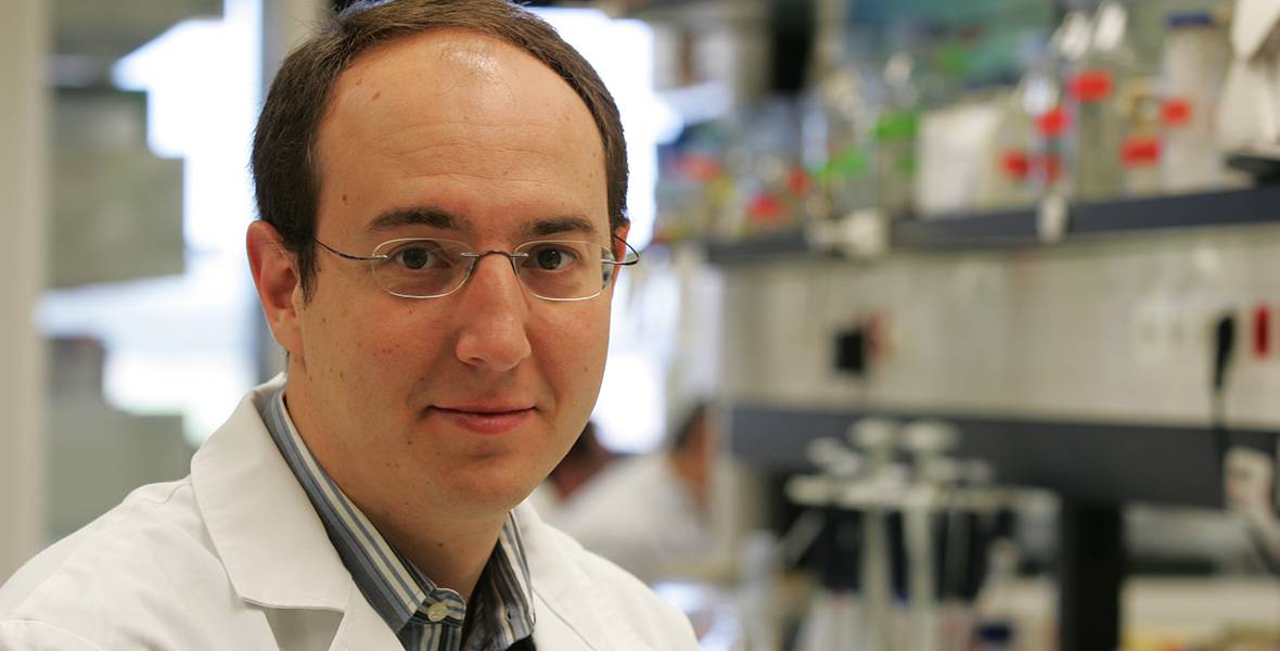 Una investigación de la Universidad de Navarra concluye que algunos pacientes con deterioro cognitivo ligero padecerán Alzheimer El estudio de Lluís Samaranch, realizado en la Clínica Universitaria, corrobora que la enfermedad se puede detectar en fases tempranas