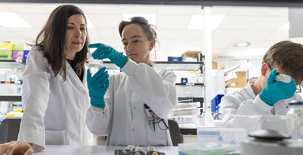 La estimulación del sistema inmune mejora el tratamiento con virus en modelos animales del tumor cerebral infantil más agresivo