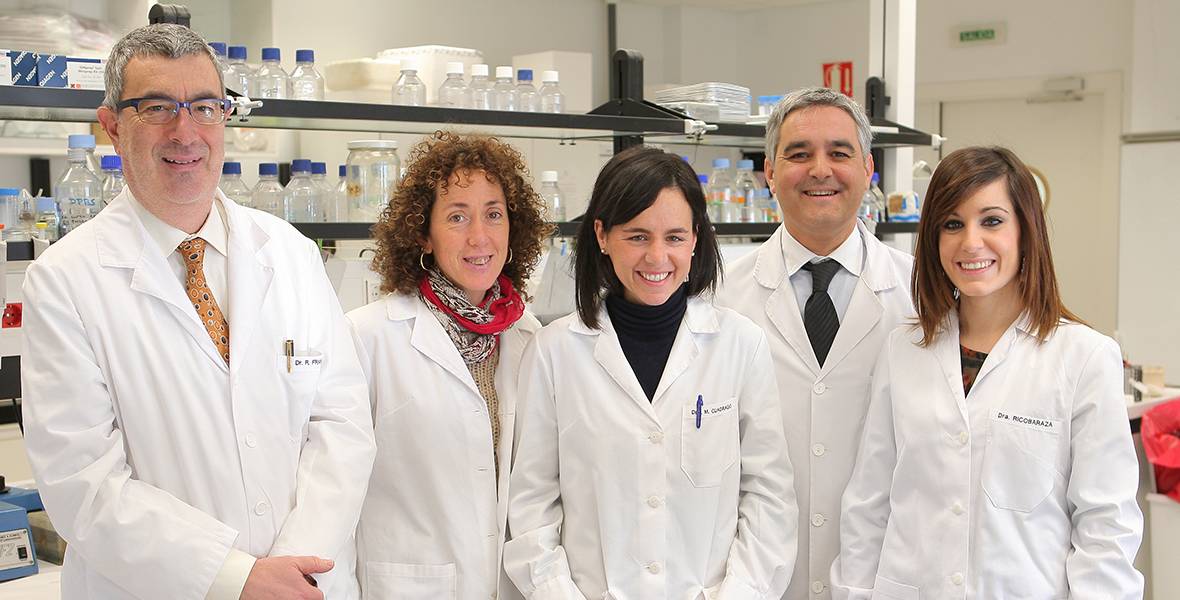 El estrés crónico suave es un factor de riesgo para el desarrollo de la enfermedad de Alzheimer Según un estudio realizado en modelos animales en el CIMA