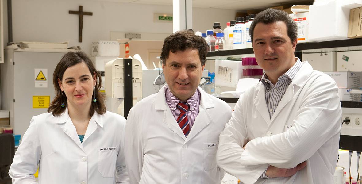 Fusión de alipoproteína A1e interleuquina-15 para el tratamiento del cáncer Investigadores del CIMA de la Universidad de Navarra identifican nuevas estrategias de inmunoterapia contra el cáncer