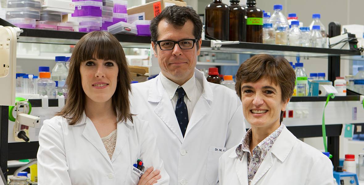 Un gen protector de la función del hígado Investigadores del CIMA de la Universidad de Navarra identifican un gen que podría mejorar el tratamiento de pacientes con daño crónico hepático