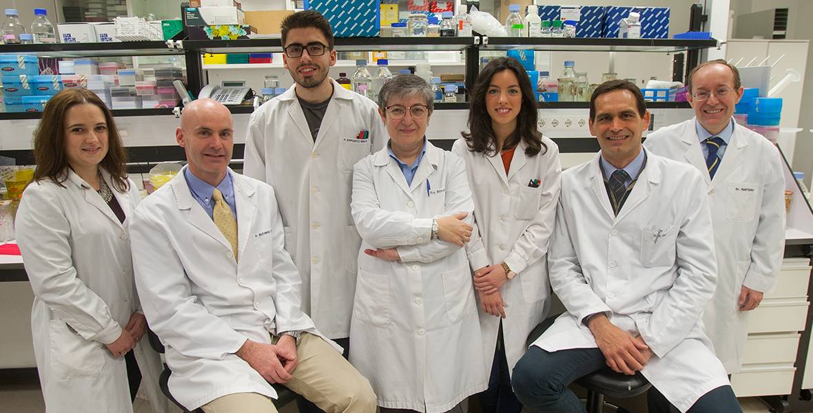 Investigadores del CIMA identifican un biomarcador que predice el pronóstico tras la cirugía de cáncer de pulmón TMPRSS4 participa en la recaída y el tiempo de supervivencia de los pacientes