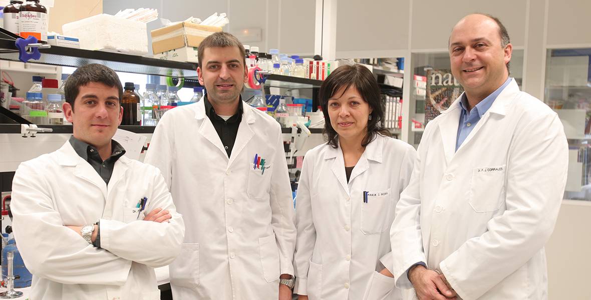 Investigadores del CIMA identifican nuevos mecanismos que eliminan células de cáncer de hígado Podrían facilitar tratamientos más eficaces basados en un virus terapéutico