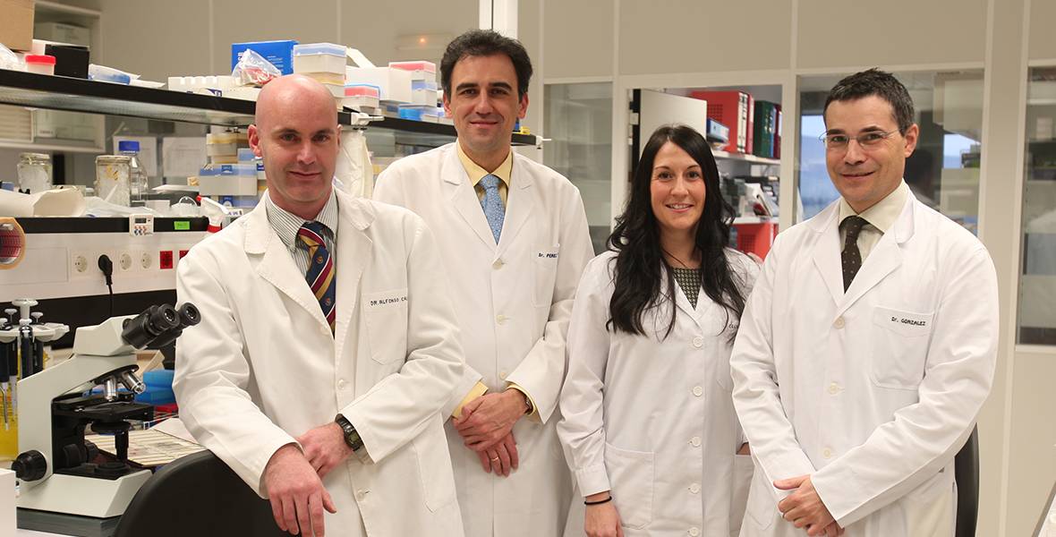 Medicina molecular personalizada contra el cáncer de riñón Investigadores del CIMA y la Clínica Universidad de Navarra identifican factores que predicen la respuesta al tratamiento de esta enfermedad