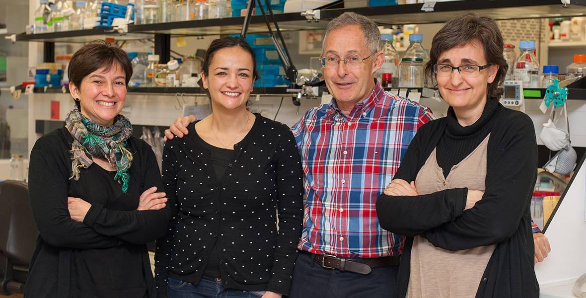 “La medicina personalizada ya es una realidad” El Dr. Ángel Carracedo, director de la Fundación Gallega de Medicina Genómica, afirmó en el CIMA que predecir la respuesta y los efectos secundarios de algunos fármacos permite optimizar el tratamiento y reducir gastos