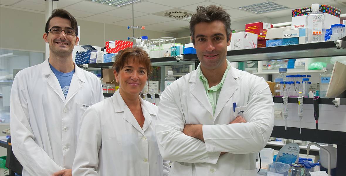 El Centro de Investigación Médica Aplicada de la Universidad crea una molécula que actúa contra el linfoma En España se diagnostican 5.000 nuevos casos de linfoma en adultos cada año