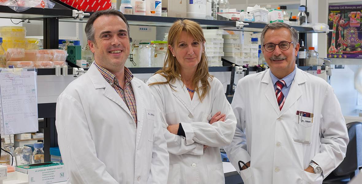 Una molécula capaz de tratar la hemorragia grave El programa 'Caixa Impulse' concede una beca a un estudio multidisciplinar del CIMA y de la Clínica Universidad de Navarra