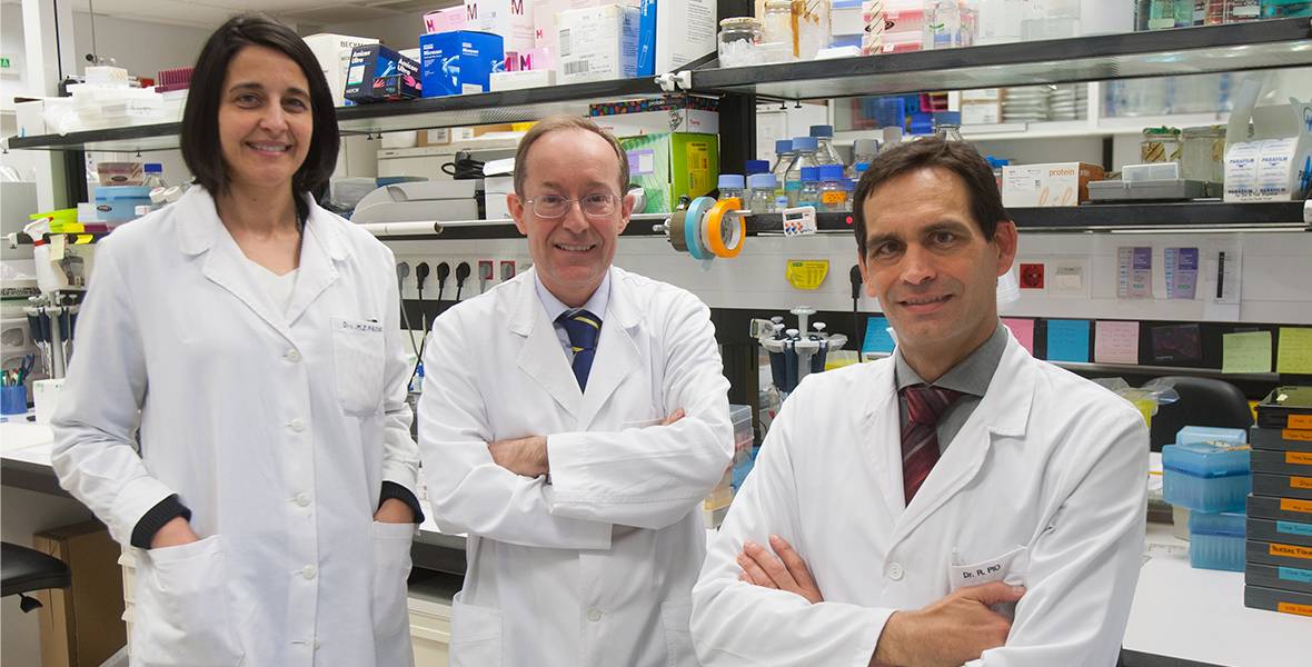 Nueva técnica molecular de diagnóstico precoz para el cáncer de pulmón Identifican biomarcadores epigenéticos para detectar con un análisis de sangre la probabilidad de cada paciente de desarrollar este tumor