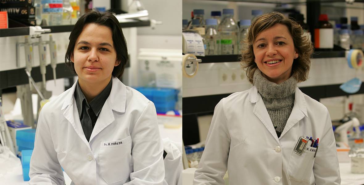 Dos investigadoras del CIMA estudian en Europa nuevos avances en biotecnología y oncología Las estancias se integran dentro de la acción de Innovanetworks, impulsada por el Departamento de Innovación, Empresa y Empleo del Gobierno de Navarra
