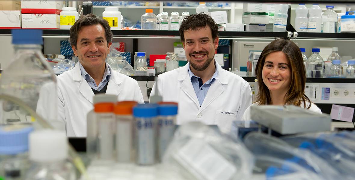 Una proteína clave en el desarrollo de los linfomas más agresivos Investigadores del CIMA de la Universidad de Navarra demuestran que la proteína FOXP1 participa en la respuesta inmune y en los linfomas B