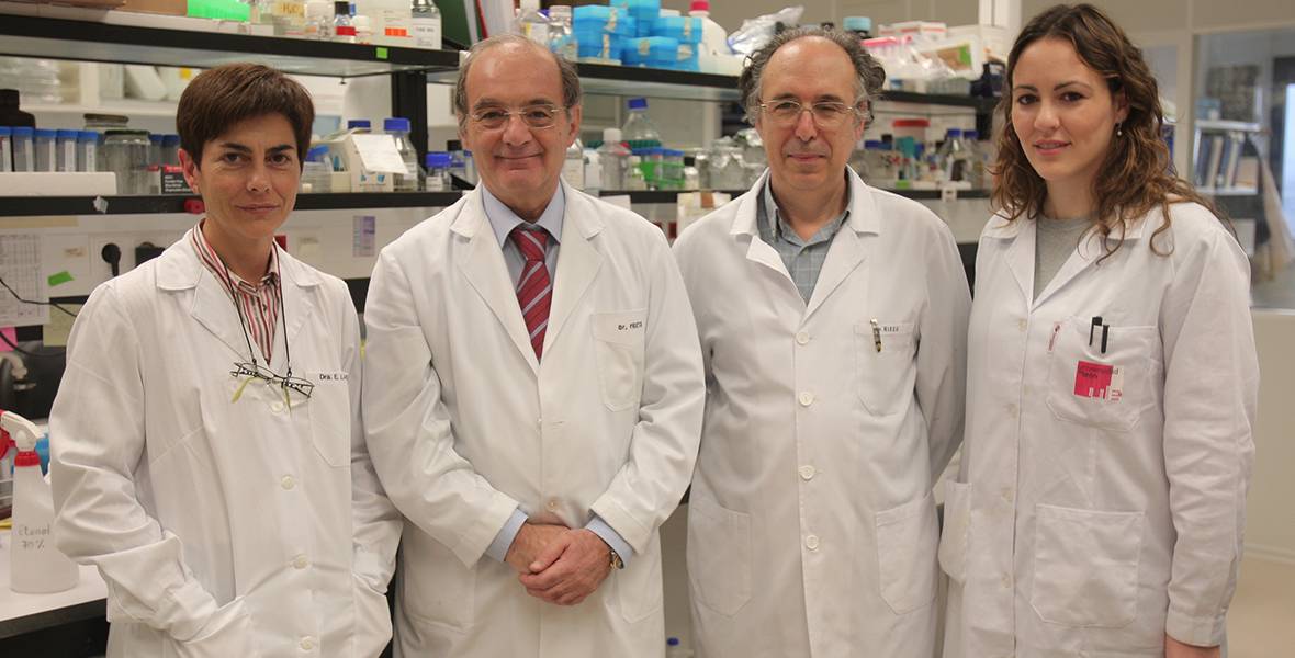 Una proteína podría reducir la necesidad de trasplante en pacientes con hepatitis fulminante La cardiotrofina-1 aumenta la supervivencia en animales con fallo hepático agudo, según un estudio publicado en Journal of Virology