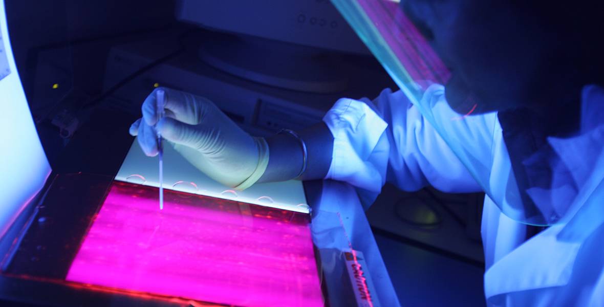 El CIMA lidera por segundo año consecutivo el Según un informe realizado por el Círculo de Innovación en Biotecnología y la Asociación Española de Bioempresas (ASEBIO)