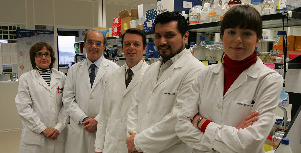 Hallan la causa molecular del tratamiento más eficaz para el 40% de pacientes de un tipo de cirrosis La revista científica 'The Journal of Clinical Investigation' publica un estudio del CIMA realizado en animales y cultivos celulares