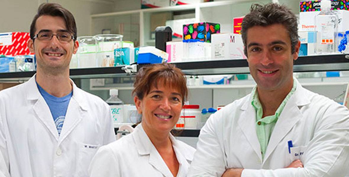 Diseñan nuevas moléculas contra el melanoma