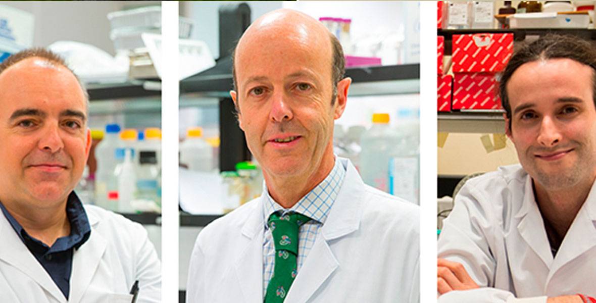 Investigadores logran descifrar el epigenoma del mieloma múltiple Investigadores del Cima, de la Clínica Universidad de Navarra y del IDIBAPS coordinan esta investigación internacional