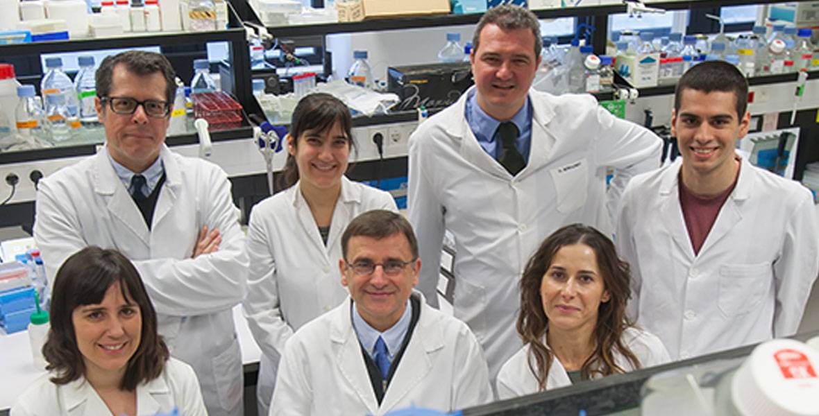 Fundación Mutua Madrileña selecciona un proyecto del Cima sobre terapia génica para un tipo agresivo de porfiria