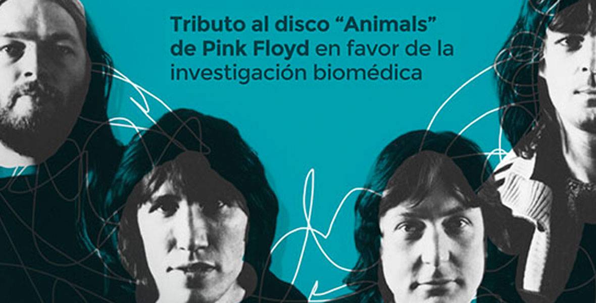 Tributo a Pink Floyd en favor de la investigación biomédica