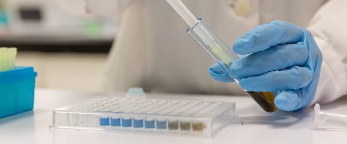 img-destacado-metabolismo-celular-carrusel
