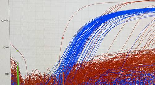 analisis-datos-bioinformatica
