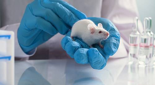 img-destacado-plataforma-experimentacion-animal