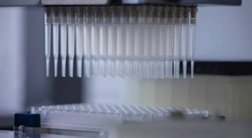 img-destacado-microchip-genomica