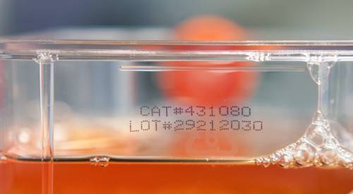 img-lab-terapia-celular