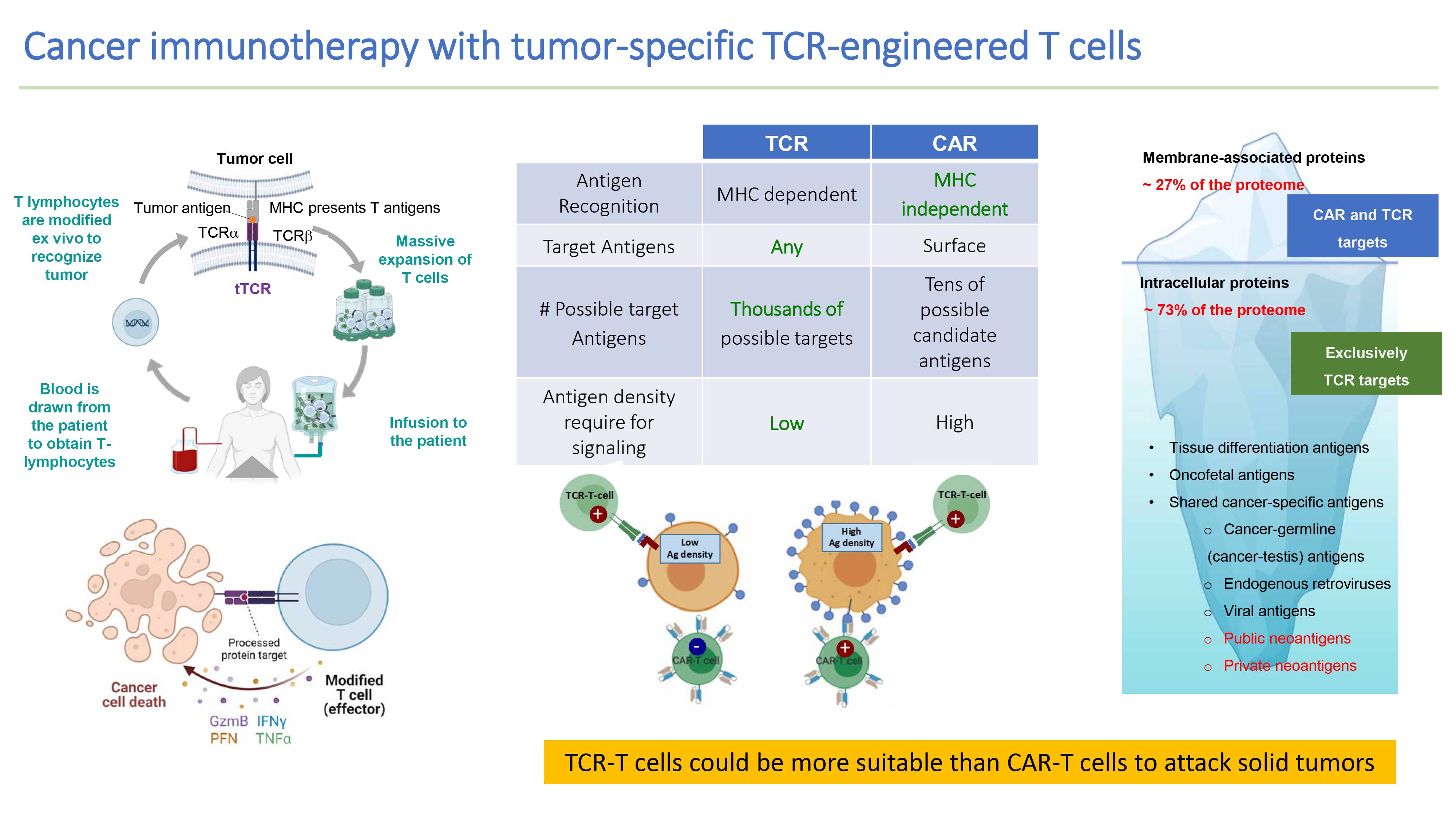 Tratamiento personalizado del cáncer. Grupo de Investigación en Terapia Celular Adoptiva. Cima Universidad de Navarra