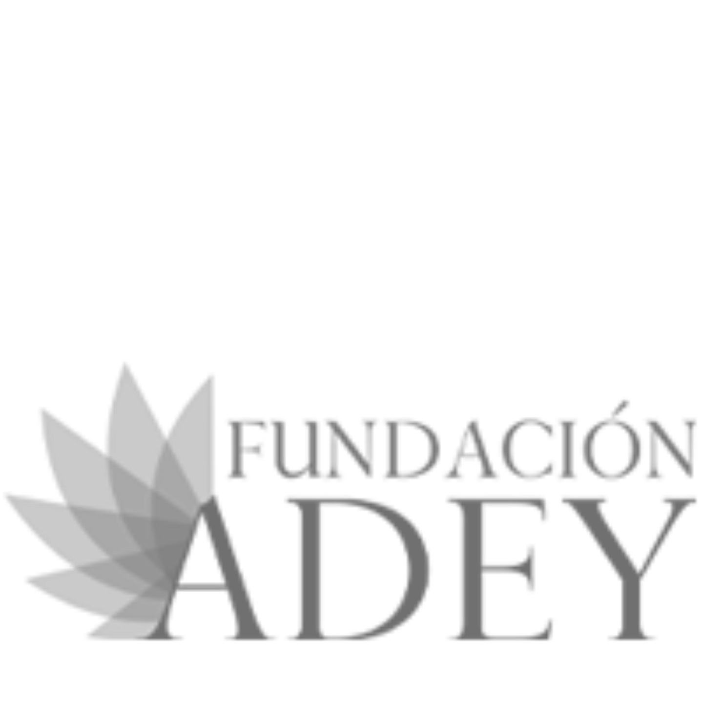 Fundación Adey. Colaborador estratégico de Cima