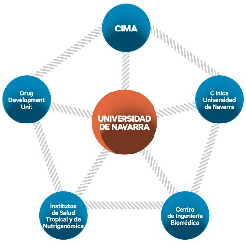 relaciones-campus-biomedico-cima