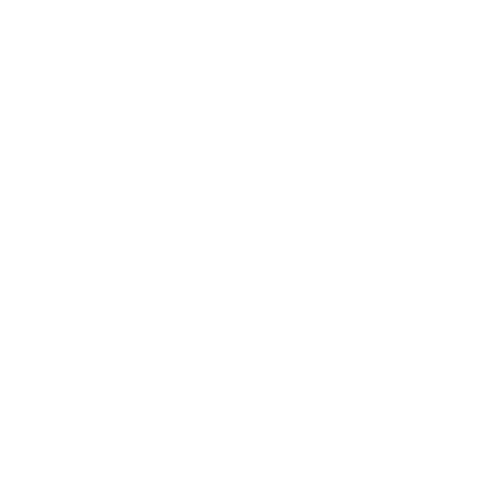 icono-blanco-cerebro