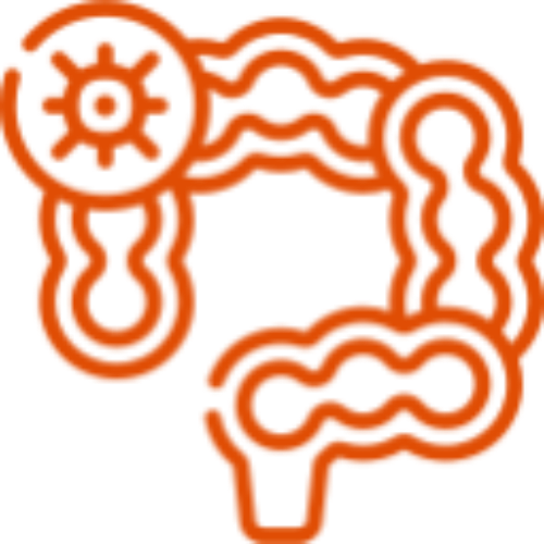 icono-naranja-cancer-colon