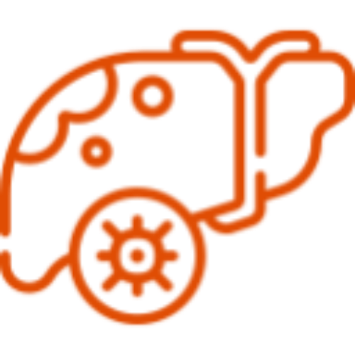 icono-naranja-cancer-higado