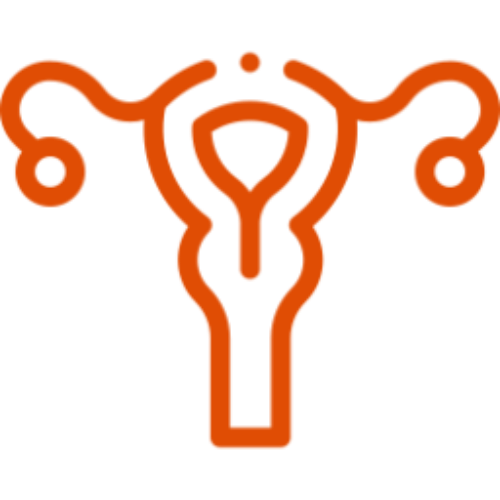 icono-naranja-cancer-ovario