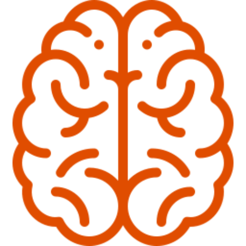 icono-naranja-cerebro