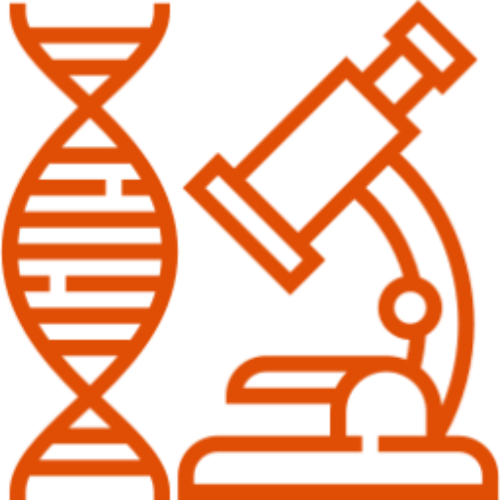 icono-naranja-dna-microscopio