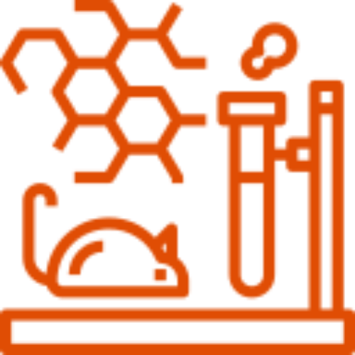 icono-naranja-experimento-animal