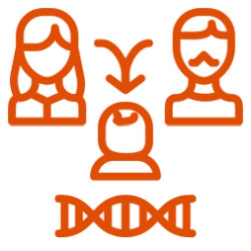 icono-naranja-herencia-genetica