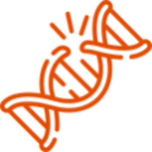 icono-naranja-mutacion-genetica