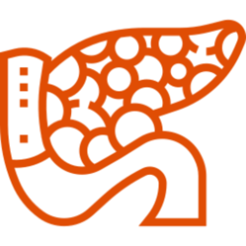 icono-naranja-pancreas