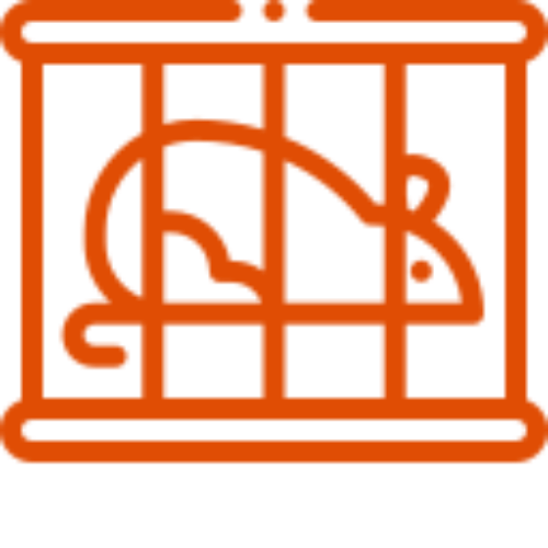 icono-naranja-raton-jaula