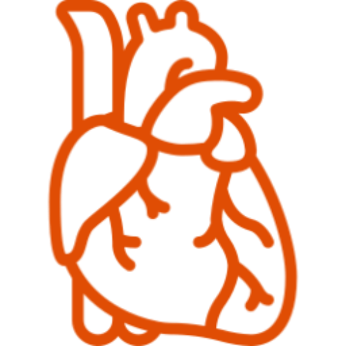 icono-naranja-silueta-corazon