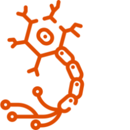icono-naranja.neurona